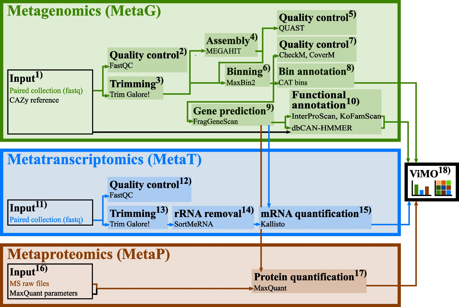 Workflows for meta-omics. The integrated analysis of meta-omics contains a MetaG, MetaT and MetaP workflow. MetaG includes data preprocessing steps with quality control and trimming, followed by assembling, binning and taxonomically annotation of the MAGs. Open reading frames (ORFs) and nucleotide sequences are predicted by FragGeneScan. Functional annotation is performed by InterProScan and dbCAN-HMMER. The predicted ORFs and nucleotide sequences are further used in the MetaP and MetaT workflow; hence, the MetaG serves as the base analysis and the MetaT and MetaP are mapped onto the MetaG. After preprocessing the data and rRNA removal, the predicted nucleotide sequences from the MetaG workflow are used for the mRNA quantification and mapping by Kallisto, as well as for MaxQuant in the MetaP workflow