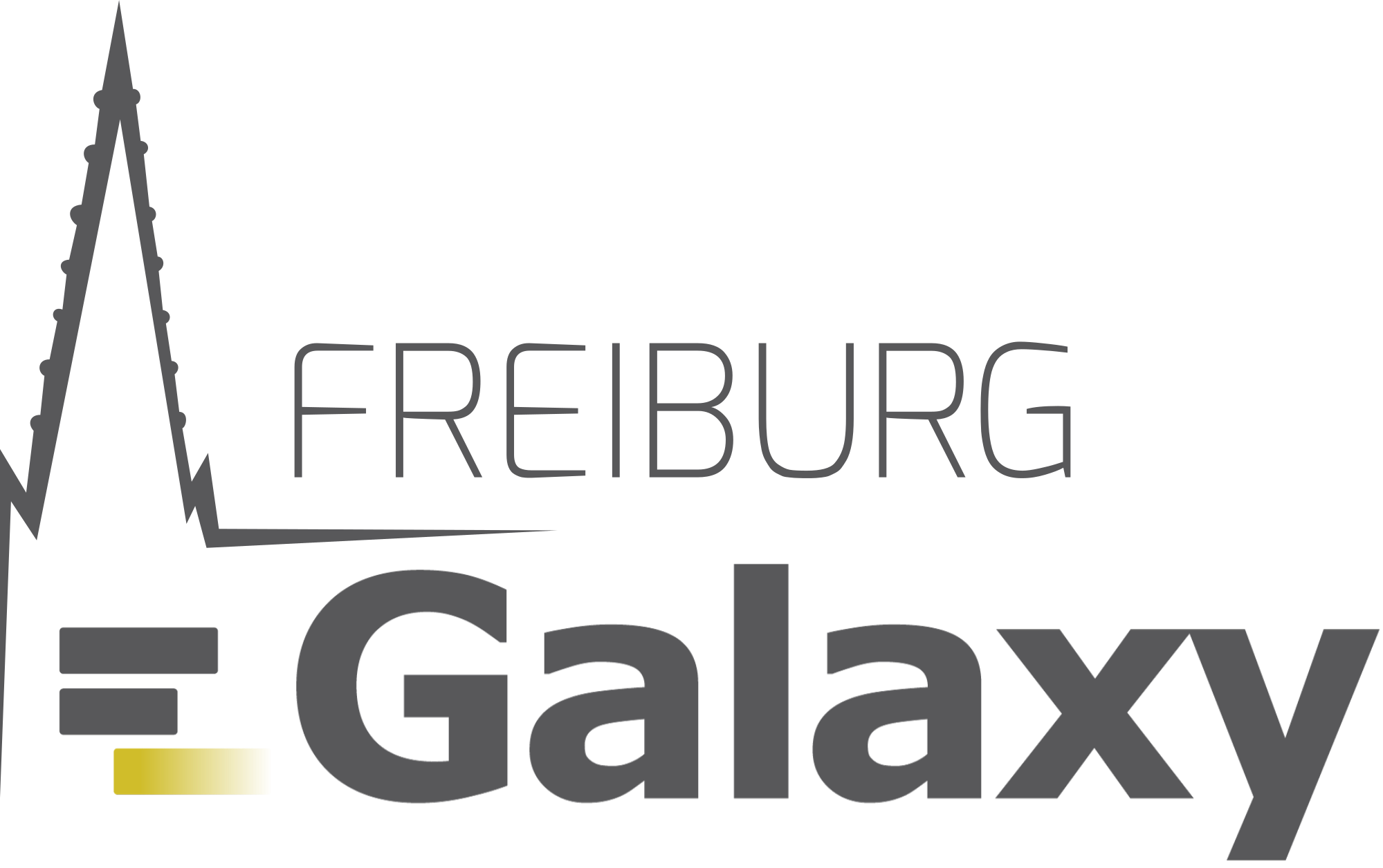 Galaxy Freiburg Project